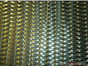 扁丝型不锈钢食品输送带 油炸机与提升机的高效输送解决方案